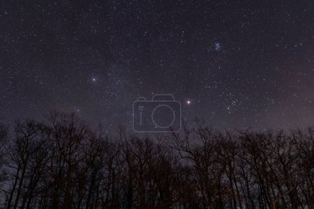 Foto de Una vista panorámica de una astrofotografía del cielo nocturno desde High Knob Overlook en Hillsgrove, Pennsylvania - Imagen libre de derechos