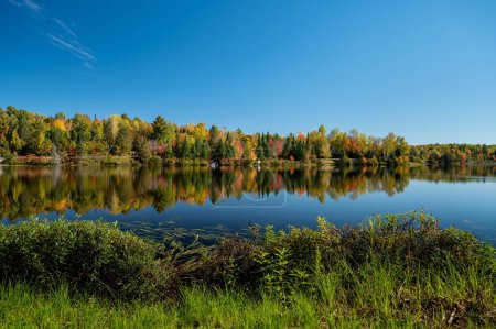 Photo for The autumn trees reflecting on lac Fairburn, Quebec - Royalty Free Image