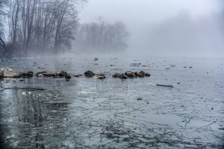 Téléchargez les photos : Une vue diurne d'une côte de lac avec des rochers et des branches dessus par une journée sombre - en image libre de droit