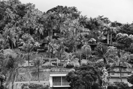 Foto de Un plano blanco y negro de casas rurales rodeadas de palmeras en la isla Ilhabella, Brasil - Imagen libre de derechos