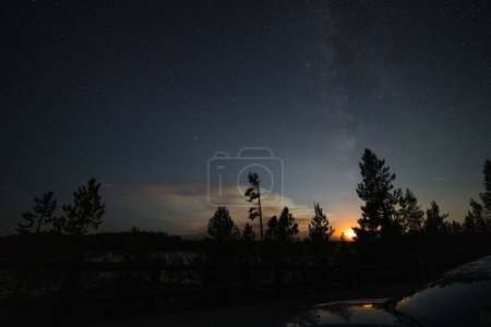 Foto de Una fascinante vista al atardecer con silueta de árboles bajo el cielo estrellado - Imagen libre de derechos