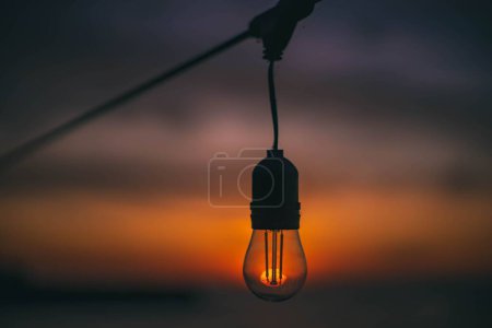 Téléchargez les photos : Une mise au point sélective d'une ampoule lors d'un beau coucher de soleil - en image libre de droit