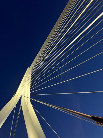 Eine vertikale Aufnahme der weißen Schrägseilbrücke Erasmusbrug, Rotterdam, Niederlande
