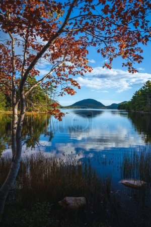 Photo for A scenic autumn lake with reflections in Acadia National Park - Royalty Free Image