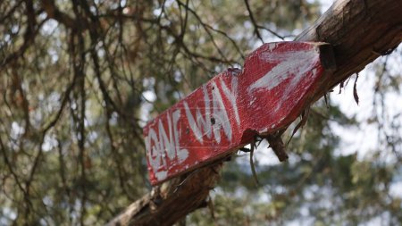 Foto de Un pequeño letrero "unidireccional" rojo en una rama de árbol - Imagen libre de derechos