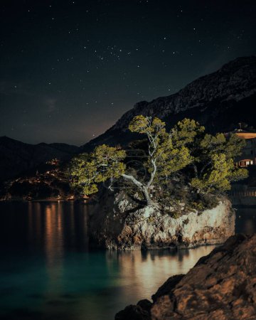 Téléchargez les photos : Vertical d'un arbre sur un rocher au bord de la côte en Dalmatie, Croatie contre le ciel étoilé nocturne - en image libre de droit