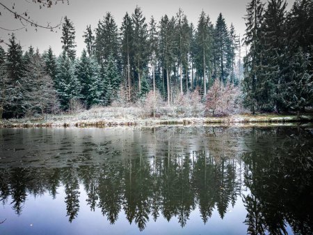 Foto de Un lago congelado en un bosque en invierno - Imagen libre de derechos
