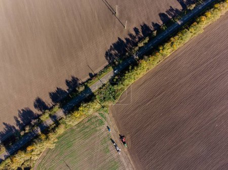 Téléchargez les photos : Vue aérienne d'un champ aux couleurs crème avec de grands arbres - en image libre de droit