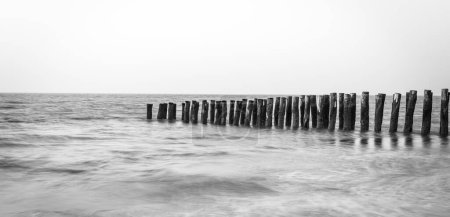 Foto de Escala de grises de un paisaje marino con hileras de troncos de madera en la playa - Imagen libre de derechos