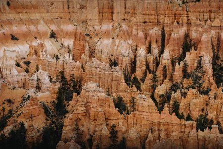 Foto de Una vista panorámica del Parque Nacional Bryce Canyon durante el día en Utah, Estados Unidos - Imagen libre de derechos