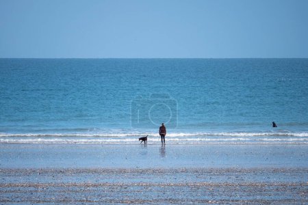 Téléchargez les photos : Photo panoramique d'une dame avec un chien sur la côte d'une mer - en image libre de droit