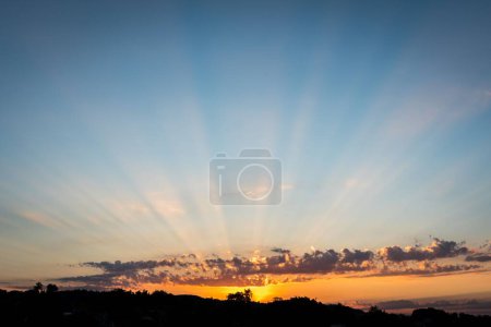 Téléchargez les photos : Une belle vue sur un coucher de soleil avec des silhouettes d'arbres au premier plan - en image libre de droit
