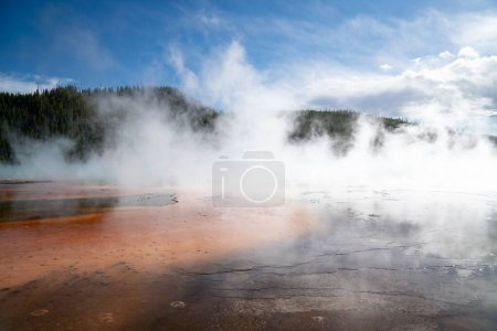 Téléchargez les photos : Gros plan d'un geyser rempli d'eau chaude près de la forêt - en image libre de droit