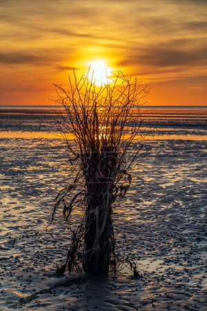 A vertical shot of stunning sunset at the North Sea at low tide with a wonderful play of colors