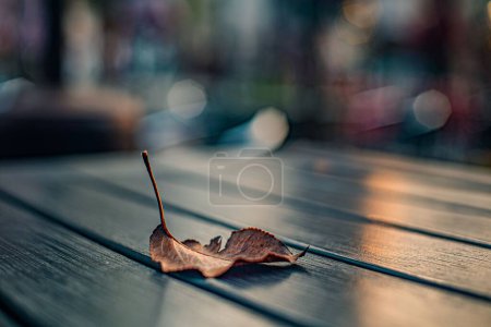 Foto de La hoja dorada seca sobre la mesa verde pintada - el otoño, el otoño - Imagen libre de derechos
