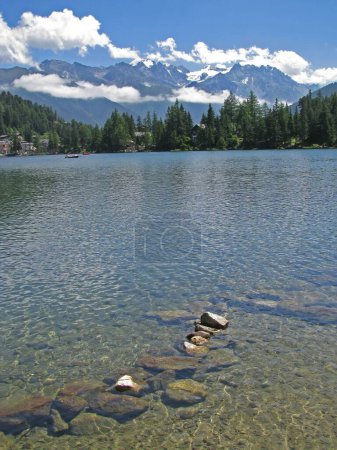 Téléchargez les photos : Un plan vertical d'un lac calme entouré de céréales avec des montagnes enneigées en arrière-plan - en image libre de droit