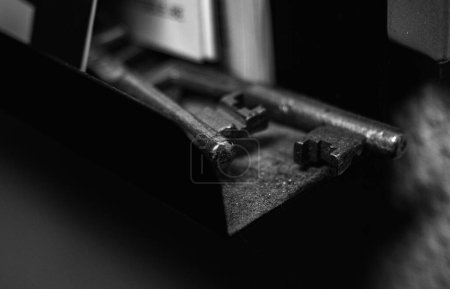 Photo for A black and white closeup shot of keys on a metallic surface with a blurry background - Royalty Free Image