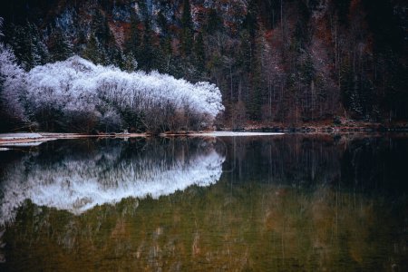 Foto de Un río cristalino que refleja montañas rocosas y un bosque en invierno - Imagen libre de derechos