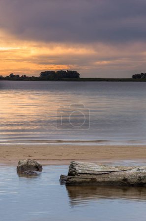 Photo for A log laying on a water pond at the beach with some trees on the horizon in San Gregorio de Polanco, Tacuarembo, Uruguay - Royalty Free Image