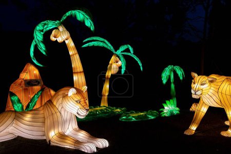 Téléchargez les photos : Un plan nocturne de palmiers et d'animaux illuminés au zoo de Kansas City Missouri Glowild - en image libre de droit