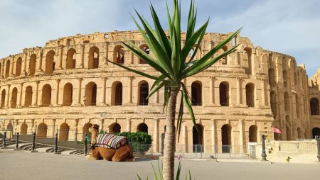Photo for A scenic view of the amphitheater El Jem with a camel sitting in front of it - Royalty Free Image
