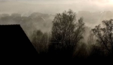 Foto de Un plano a escala de grises de casas y árboles cubiertos de niebla - Imagen libre de derechos