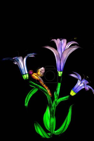 Téléchargez les photos : Un plan vertical d'un zoo de Kansas City Missouri Glow Night photo de fleurs - en image libre de droit