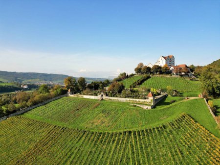 Photo for A beautiful view of vineyards in front of the Wildegg Castle in Switzerland - Royalty Free Image
