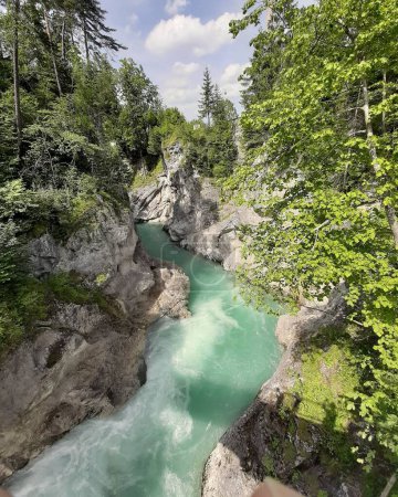 Téléchargez les photos : Plan vertical d'une rivière qui coule entre des roches massives dans une forêt - en image libre de droit