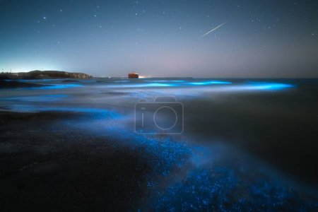 Der malerische biolumineszierende Strand bei Nacht