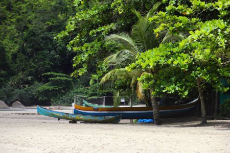 Photo for Two boats on the coast full of lush trees in Ilhabella, Brazil - Royalty Free Image