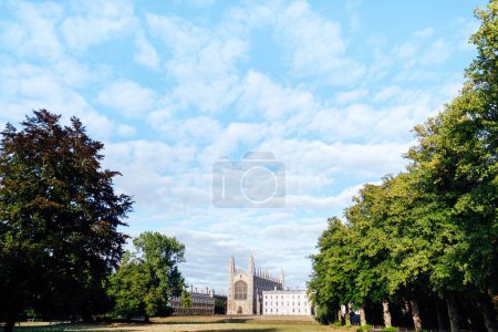 Photo for A University of Cambridge surrounded by tall green trees, England - Royalty Free Image