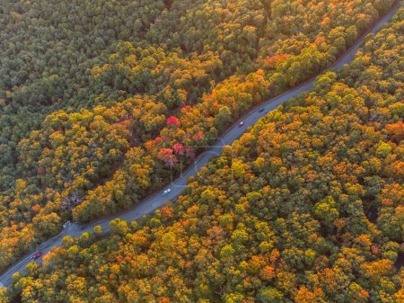 Téléchargez les photos : Un drone aérien des beaux arbres d'automne entourant la route sinueuse - en image libre de droit