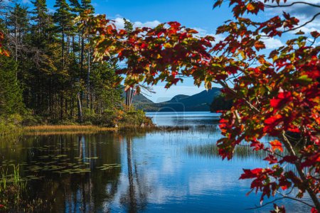 Foto de Un lago de otoño pintoresco con reflejos en el Parque Nacional Acadia - Imagen libre de derechos
