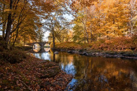 Téléchargez les photos : Une vue du paysage du pont Stone Arch et des arbres d'automne reflétés dans l'eau du ruisseau Callicoon - en image libre de droit