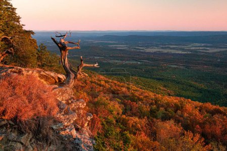 Foto de Un pintoresco plano de Hawksbill Crag (Whitaker Point) en el Condado de Newton, Arkansas al atardecer - Imagen libre de derechos