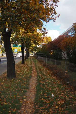 Foto de Un plano vertical de un camino en otoño. - Imagen libre de derechos