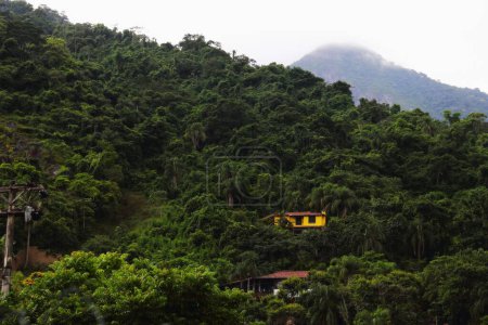 Foto de Una casa rural amarilla en una ladera de una colina cubierta de exuberante bosque verde en Ilhabella, Brasil - Imagen libre de derechos