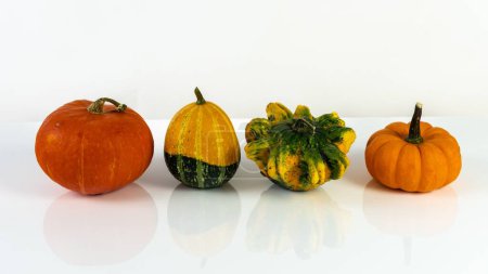 Foto de Calabazas frescas y y Gourd Bumpy naranja sobre fondo blanco con espacio para copiar - Imagen libre de derechos