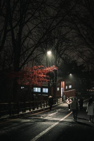 Photo for A vertical shot the people walking along the street at night under the illuminated street lamps - Royalty Free Image