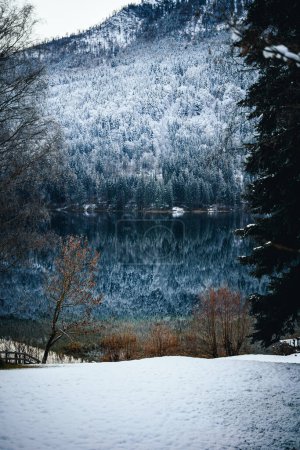 Foto de Un río cristalino que refleja montañas rocosas y un bosque en invierno - Imagen libre de derechos