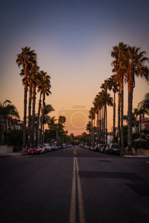 Photo for A vertical shot of Orange County in California at sunrise with palm trees and parked cars - Royalty Free Image