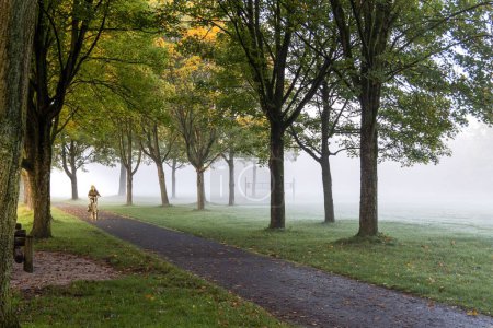 Téléchargez les photos : Un motard tôt le matin sur un sentier à travers une forêt brumeuse - en image libre de droit