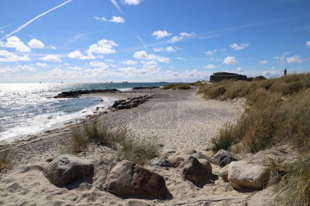 Foto de Una hermosa vista de la hierba en la playa de arena con un mar en el fondo en Skagen, Dinamarca - Imagen libre de derechos