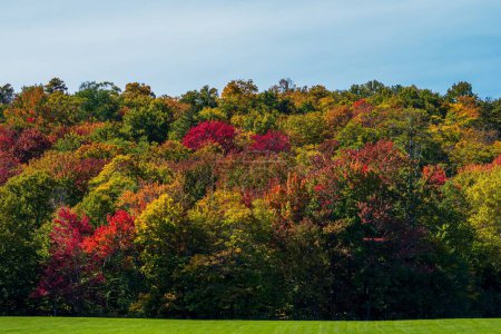 Photo for A scenic autumn landscape in New England - Royalty Free Image