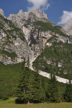 Foto de Un plano vertical de montañas dentadas, el bosque en su ladera y pie, cubierto de árboles siempreverdes - Imagen libre de derechos