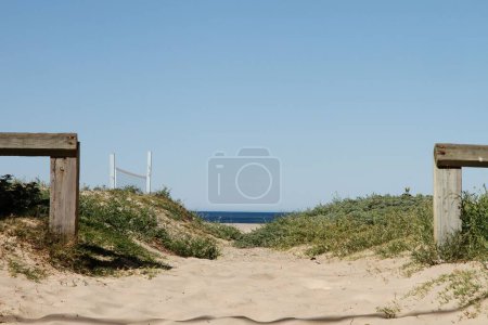 Téléchargez les photos : Une image d'une route sur une plage de Californie avec deux choses boisées des deux côtés entourées d'herbe et un ciel bleu en arrière-plan. - en image libre de droit