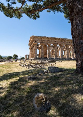 Photo for The Ancient doric Temple of Athena at the ancient Greek city of Paestum, Campania, Italy, vertical - Royalty Free Image