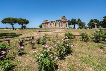 Téléchargez les photos : Le temple dorique antique d'Athéna à la ville grecque antique de Paestum, Campanie, Italie - en image libre de droit