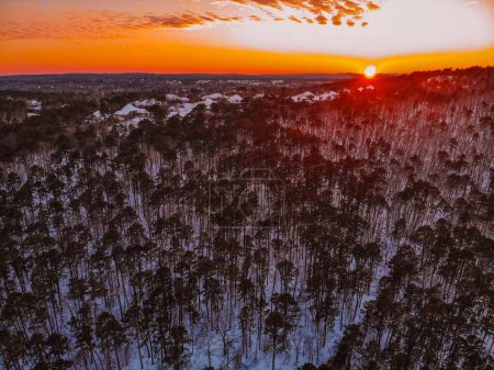 Téléchargez les photos : Une vue panoramique de la forêt couverte de neige au coucher du soleil - en image libre de droit
